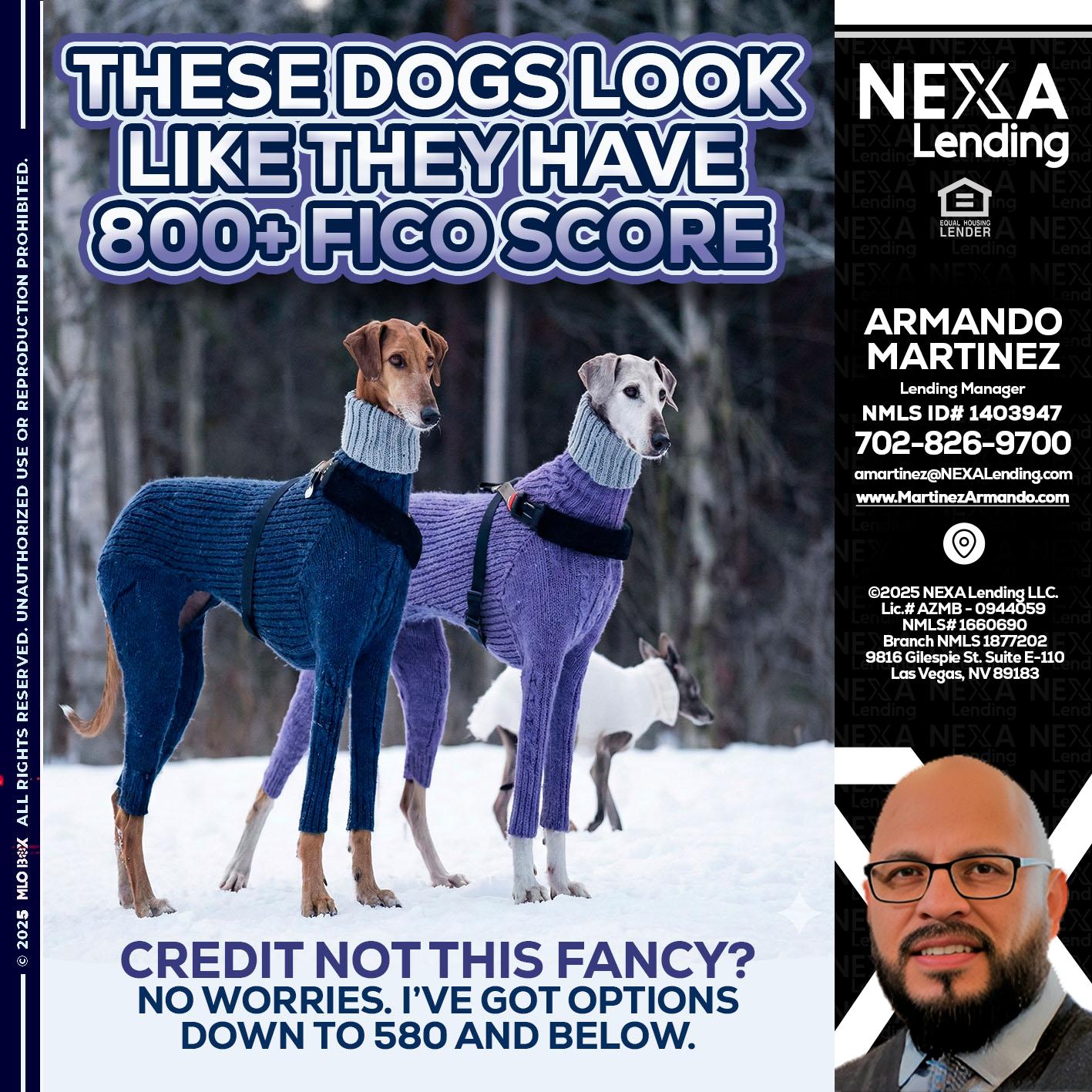 THESE DOGS LOOK - Armando Martinez -Mortgage Loan Originator